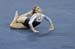 13bOkla4K_02073_CatH