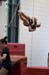 13hPractice0K_07991
